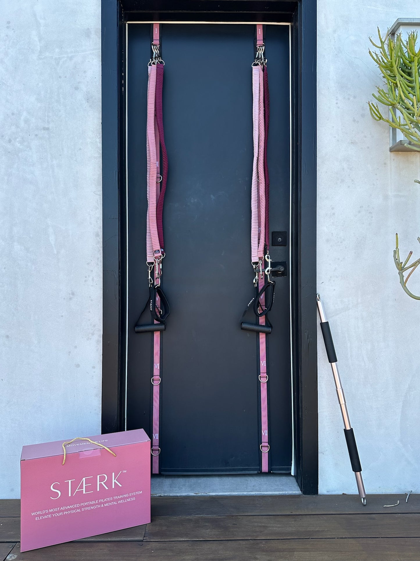 STAERK® System + FREE 30 Days On-Demand Workouts BUNDLE (CHOOSE THIS ONE)